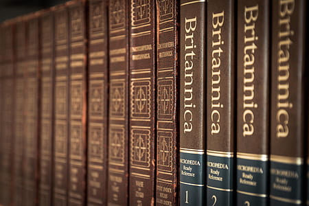 Britannica book lot