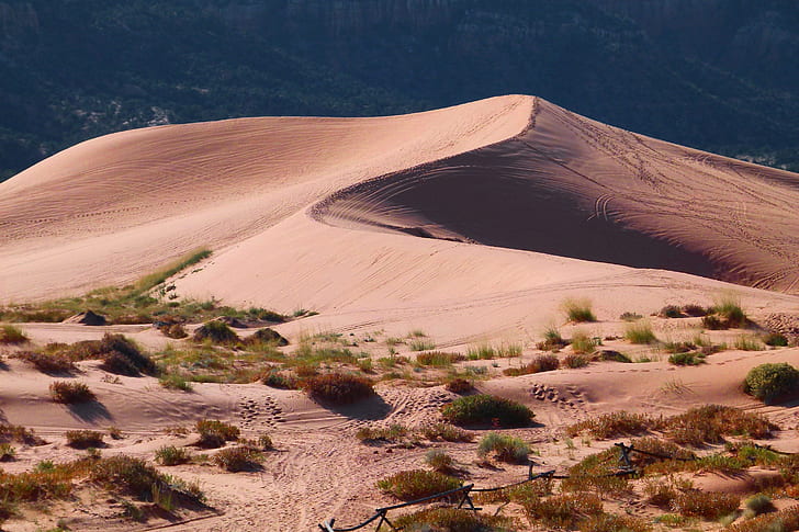 stock photography of desert