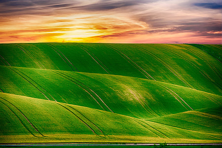 green grass hills during golden hour photography