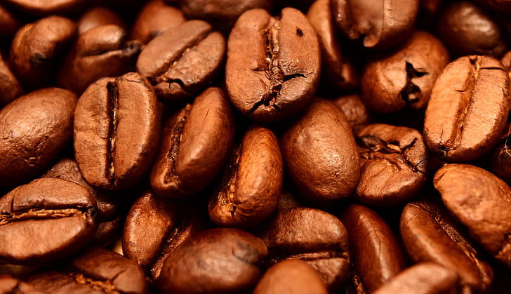 focus photo of coffee beans