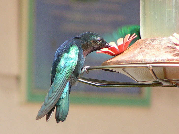 hummingbird beside faux flower in selective focus photography