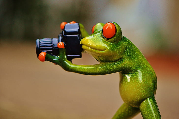 selective focus photograph of green poisonous frog holding DSLR camera