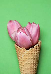 shallow photography of three pink tulips on brown ice cream cone