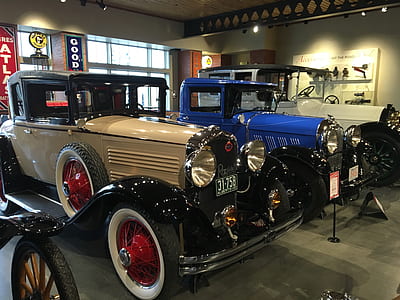 Assorted Vintage Cars in a Well Lighted Room