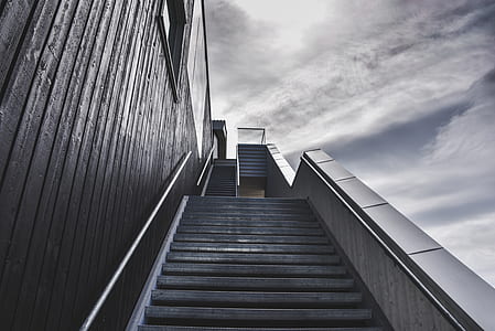 low angle photo of empty stairway
