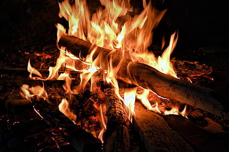 Bonfire during Nightime