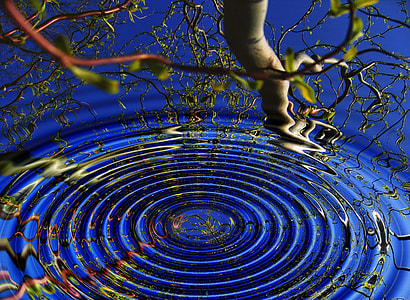 photograph of water droplet