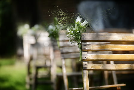 white flowers on wooden bench