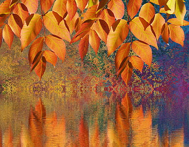 orange leaf near body of water painting