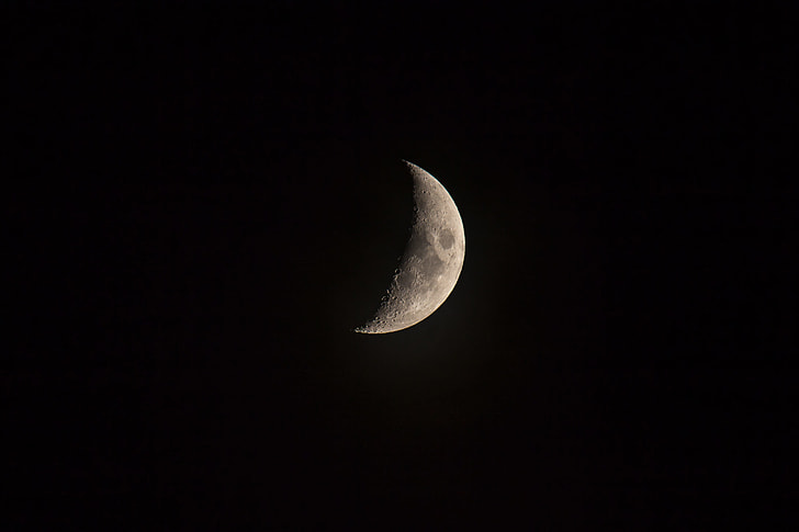 close up photo of half moon