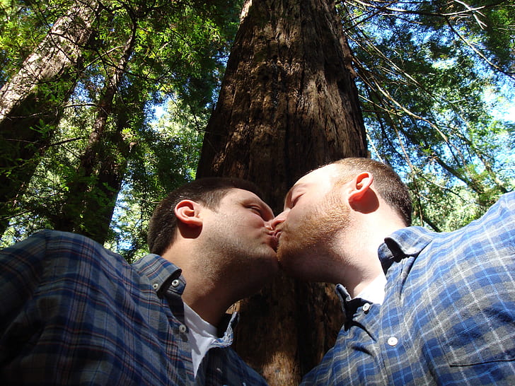 Royalty-Free photo: Two man kissing beside wood taken during daytime - PickPik