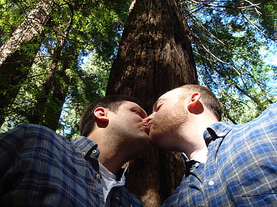 two man kissing beside wood taken during daytime