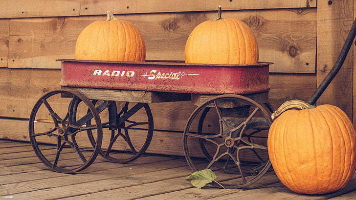two pumpkins on red Radio wagon