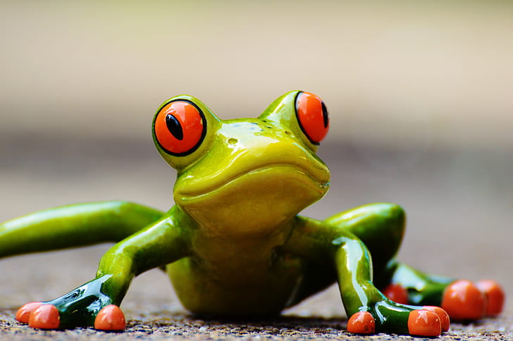 selective focus of green and red frog