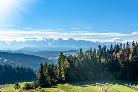 mountains with green trees under blue sky and white clouds