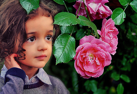 girl beside pink roses in selective focus photography