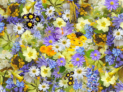 assorted-color flower display