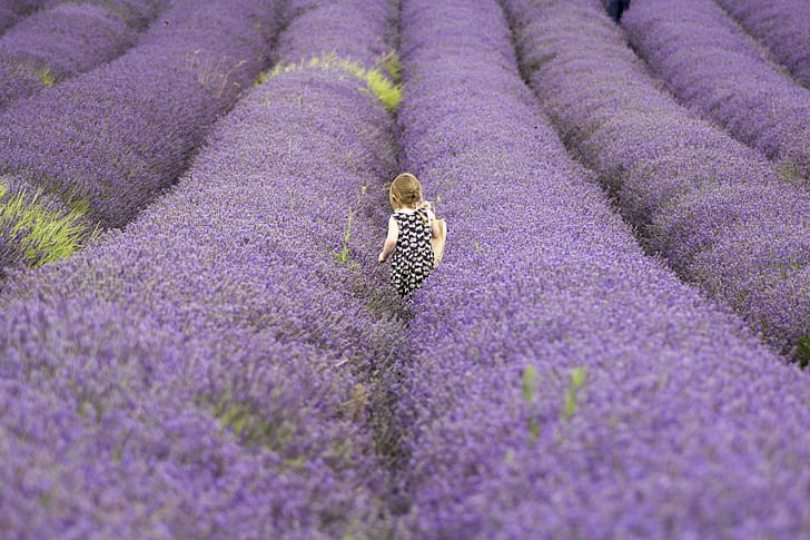 girl on purple flower fields