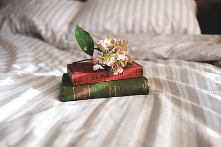 books, reading, bedroom, bed