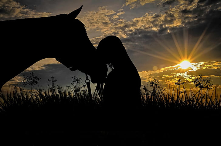 silhouettes of person in front of horse
