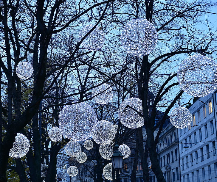 photo of pendant string lights on tree