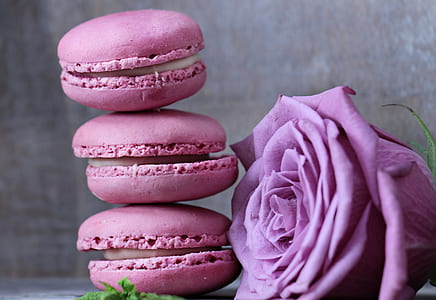 balanced macarons beside pink rose flower