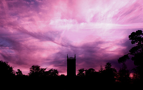 photography of silhouette of tower and trees