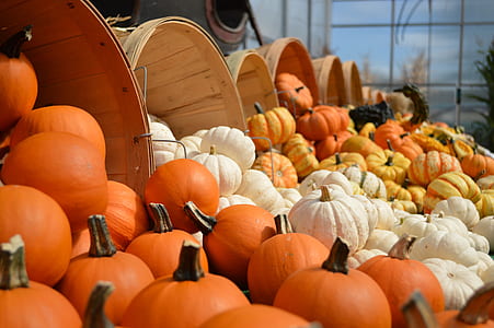 assorted pumpkins