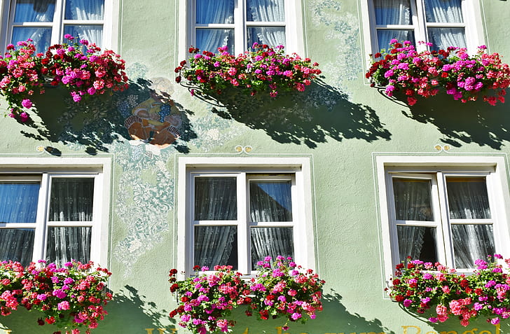green painted house surrounded by flowers