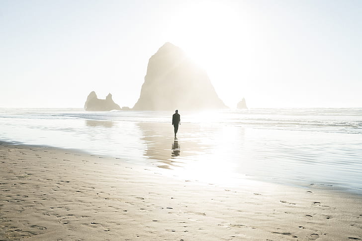 silhouette of man walking on shore