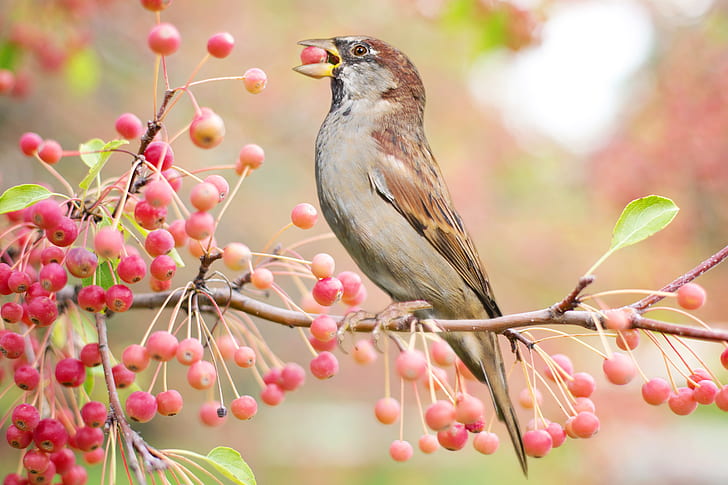 brown and gray bird on brown tree stem