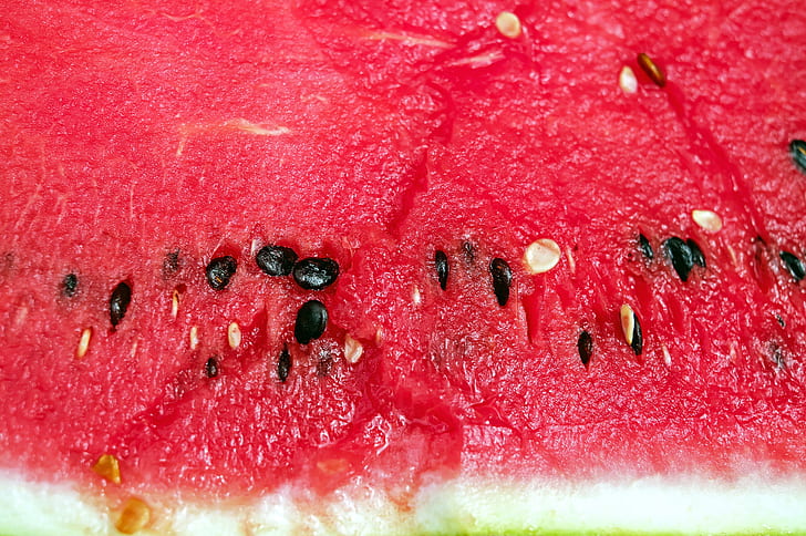 focused photo of sliced watermelon and watermelon seeds