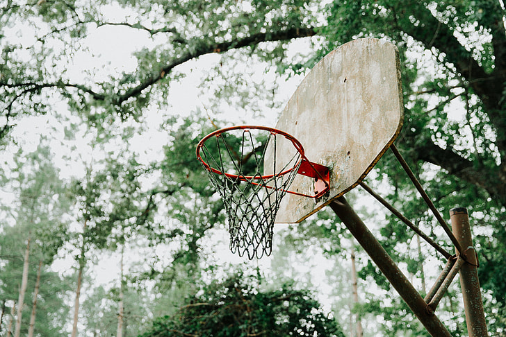selective focus photography of red basketball hoop with brown board under tall tree