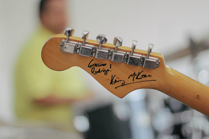 autographed brown guitar pegs