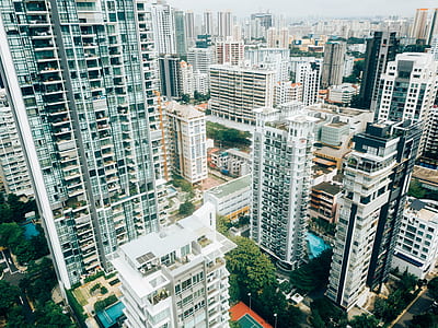 high rise buildings at daytime