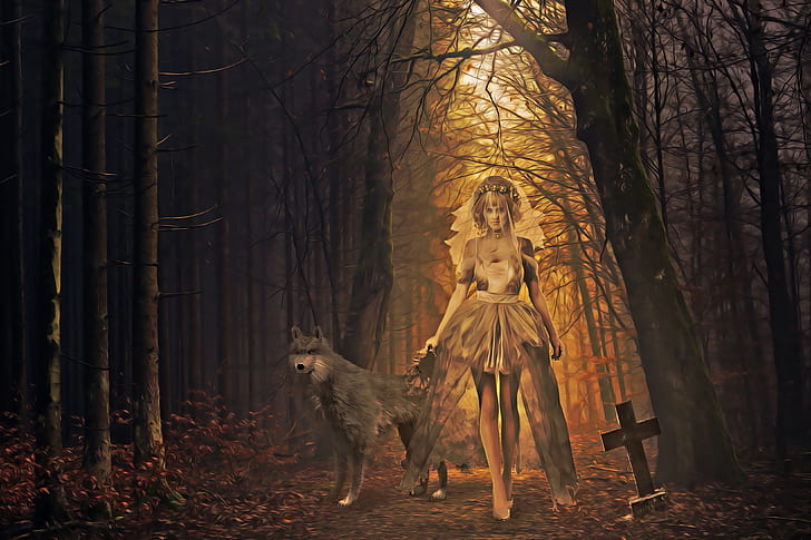 photo of woman with gray wolf