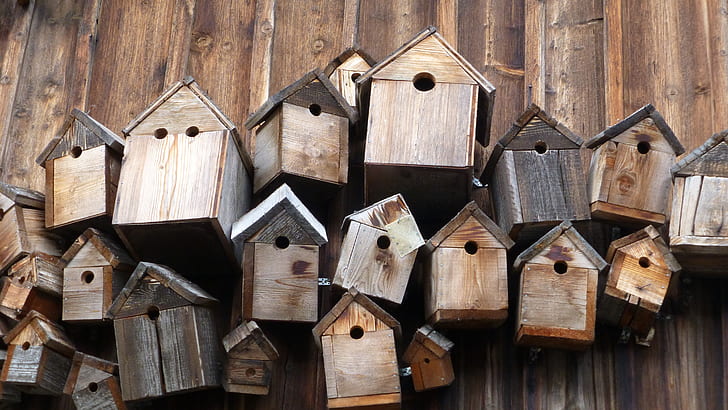 brown wooden bird houses