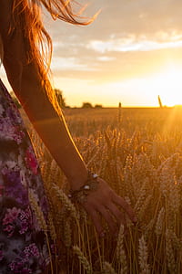 woman standing beside wheat field