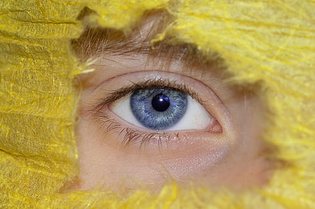 person's gray eye