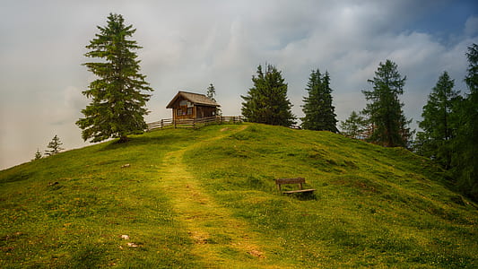 house on top of hill surrounded by trees