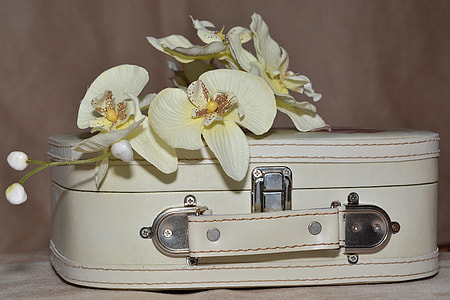 white petaled flower on top of hat luggage