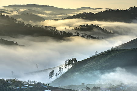 fog covered mountains and forest