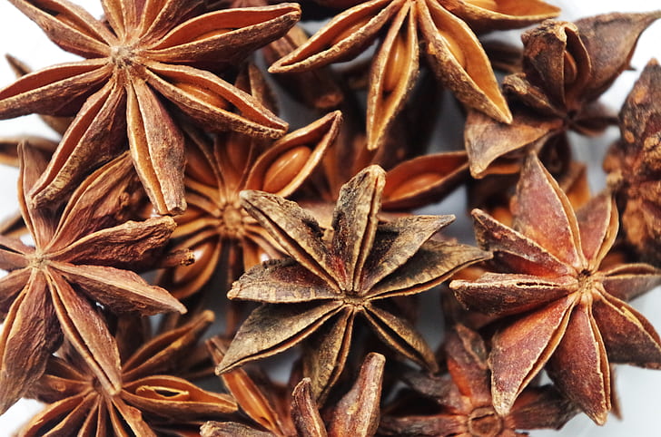 macro photography of star anise lot