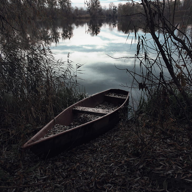 brown canoe beside body of water