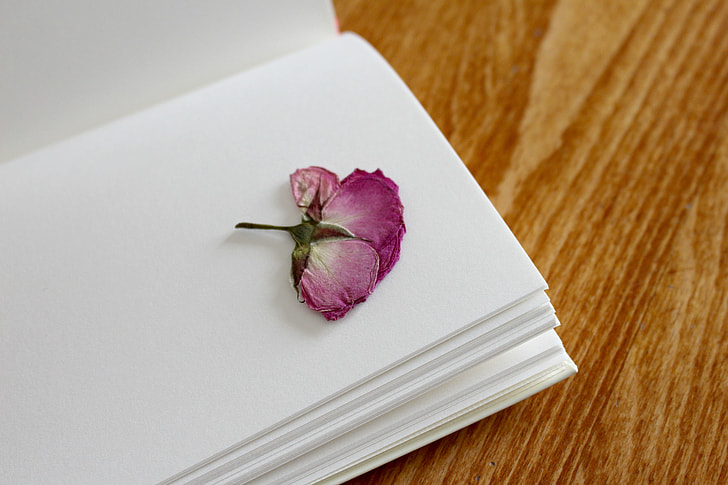 purple flower on white blank book