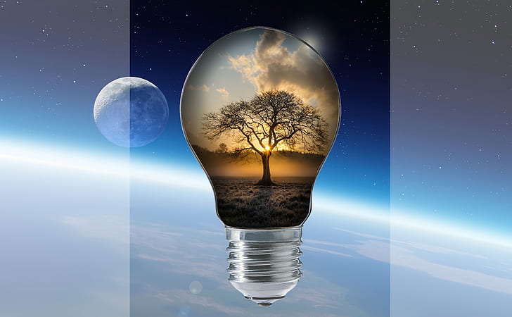 light bulb with silhouette of tree wallpaper