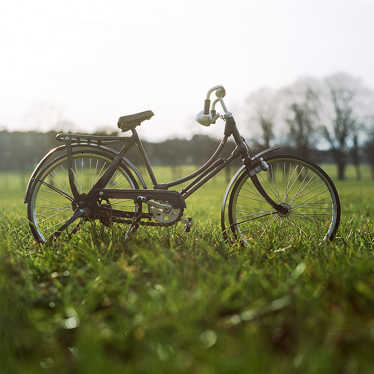shallow focus photography of brown beach cruiser bicycle on grass field