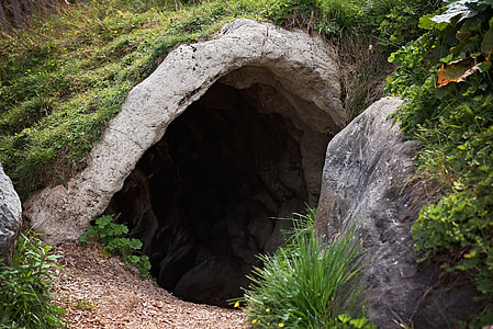 gray stone tunnel surrounded by grass field