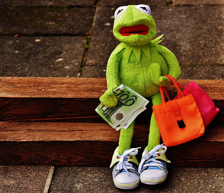 Kermit the Frog sitting while holding banknote