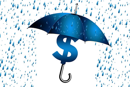 blue and dollar sign umbrella wallpaper